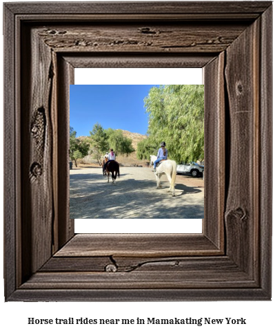 horse trail rides near me in Mamakating, New York